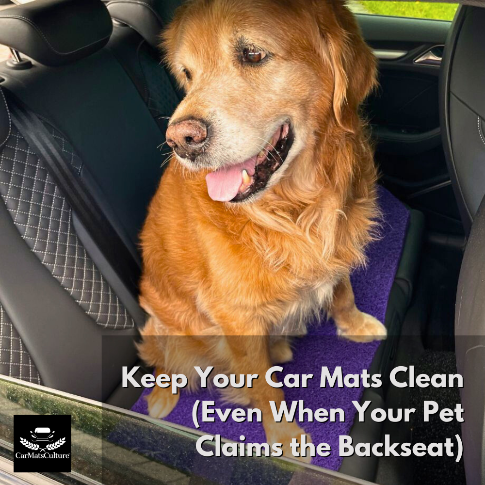 Keep Your Car Mats Clean (Even When Your Pet Claims the Backseat)