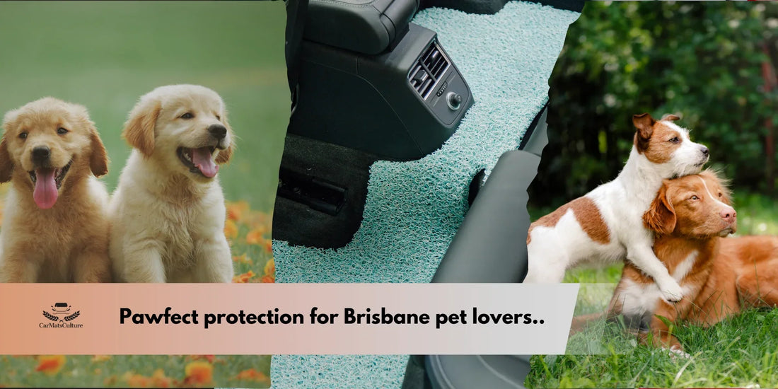 Pet Owners in Brisbane Love CarMatsCulture™ Mats—Goodbye Muddy Paw Prints