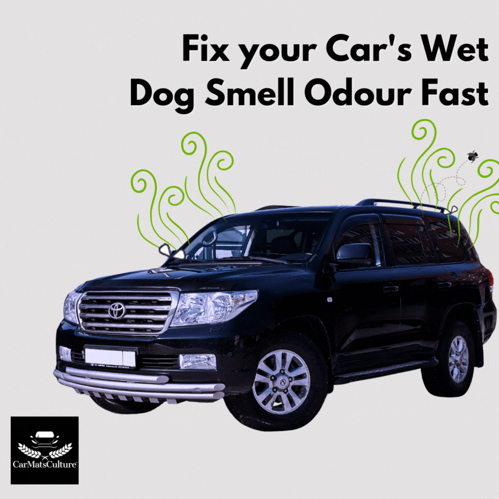 Fix Your Car’s Wet Dog Smell  Fast