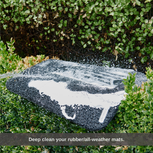 Can You Hose Wash Car Mats? Yes — Here's How to Do It Right