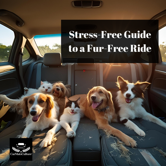 The Ultimate Guide to Cleaning Pet Hair from Car Mats (Without Losing Your Mind)