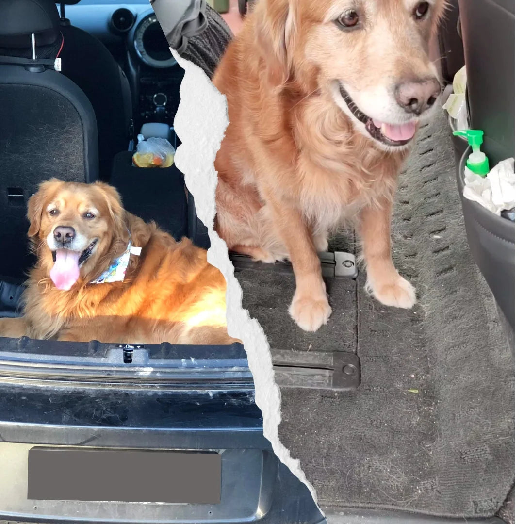 Dog-Proof CarMatsCulture Aeroloop mats fitted to a vehicle interior