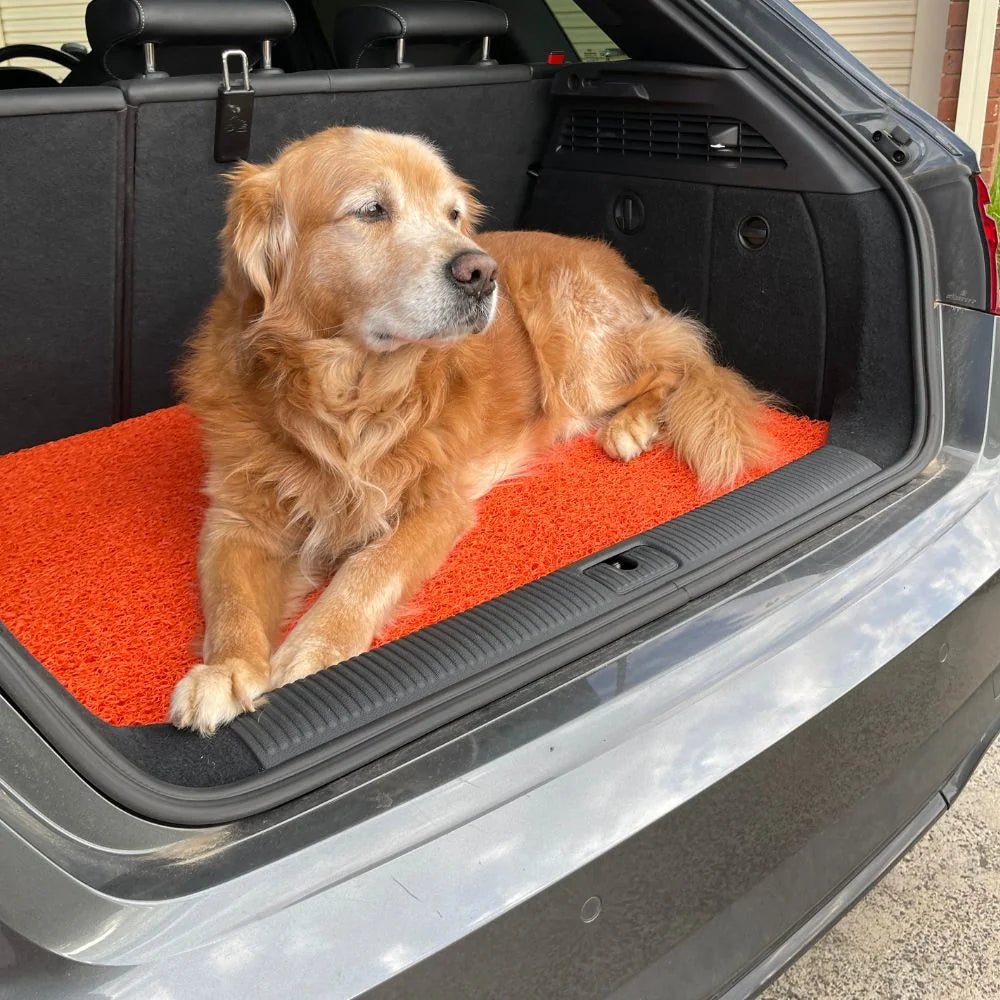Durable CarMatsCulture mat beside a dog and vehicle