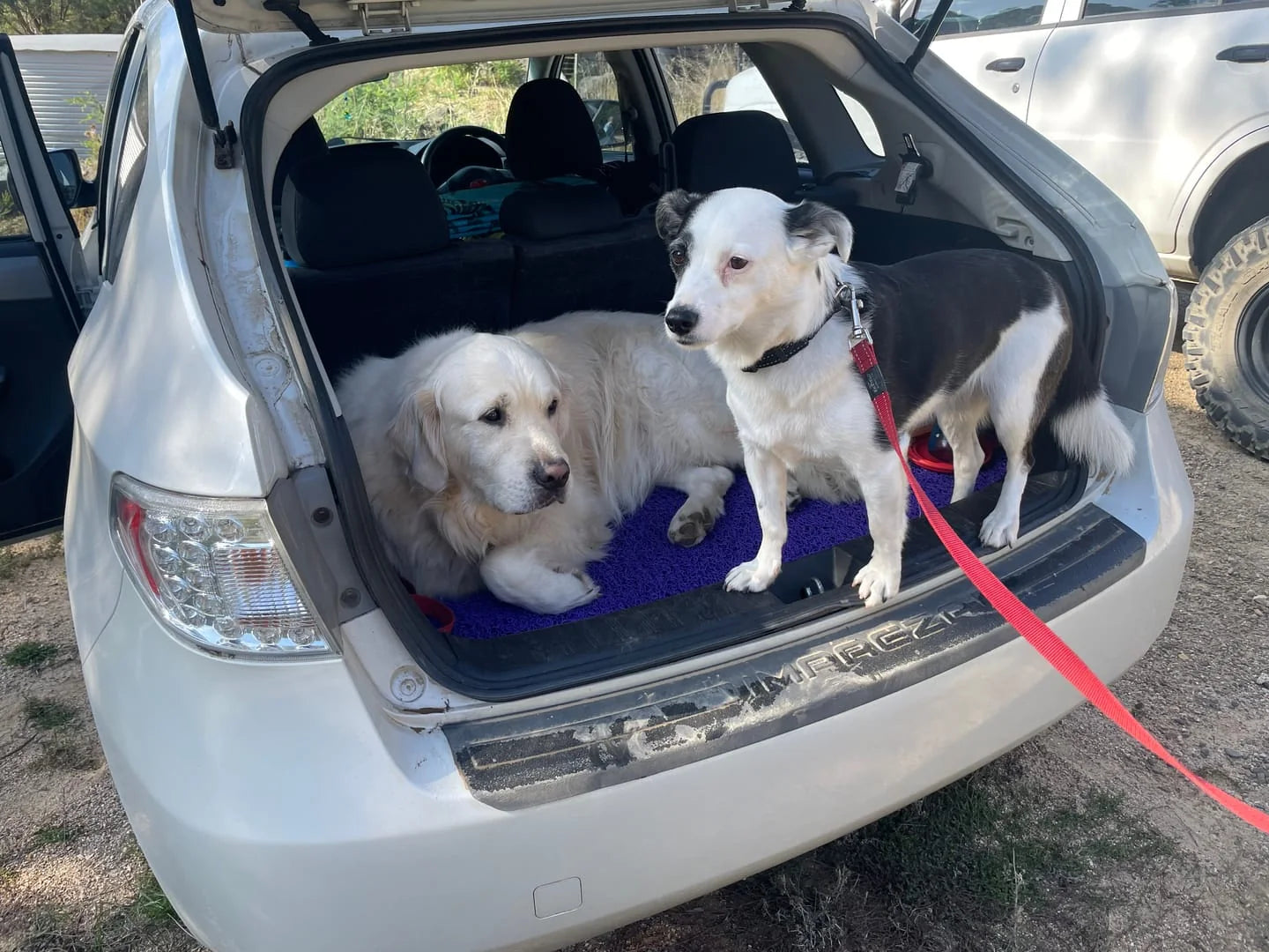 Ella S. customer photo showing CarMatsCulture mats