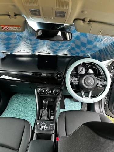Kimberley W. customer photo showing CarMatsCulture mats